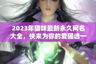 2023年猫咪最新永久网名大全，快来为你的爱猫选一个吧