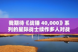 我期待《战锤 40,000》系列的星际战士续作多人对战体验