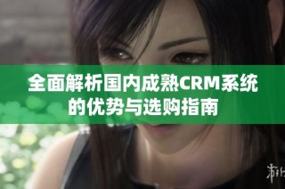 全面解析国内成熟CRM系统的优势与选购指南