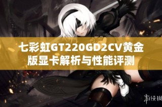 七彩虹GT220GD2CV黄金版显卡解析与性能评测