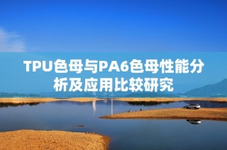 TPU色母与PA6色母性能分析及应用比较研究