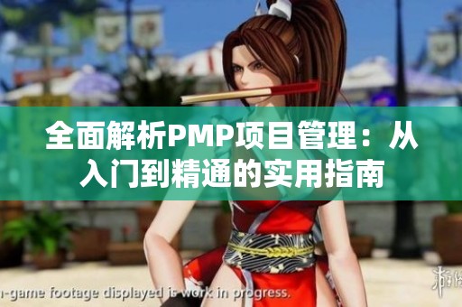 全面解析PMP项目管理：从入门到精通的实用指南