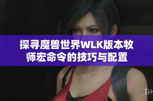 探寻魔兽世界WLK版本牧师宏命令的技巧与配置