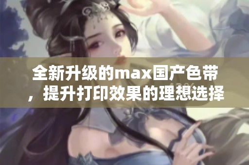 全新升级的max国产色带，提升打印效果的理想选择