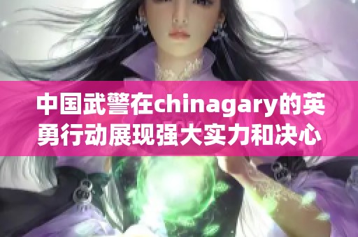 中国武警在chinagary的英勇行动展现强大实力和决心