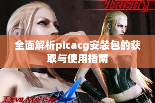 全面解析picacg安装包的获取与使用指南