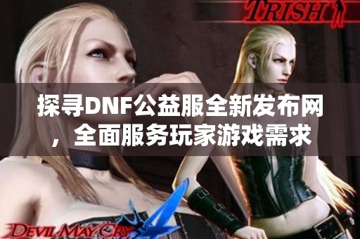 探寻DNF公益服全新发布网，全面服务玩家游戏需求