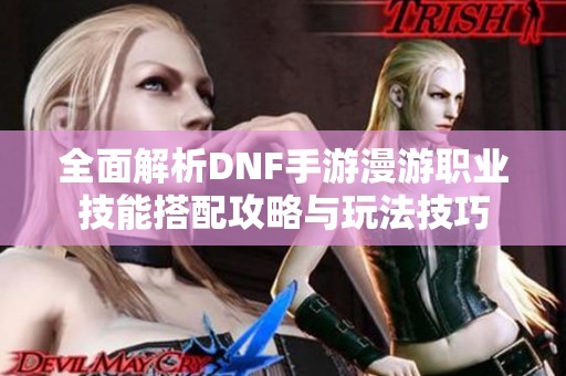 全面解析DNF手游漫游职业技能搭配攻略与玩法技巧